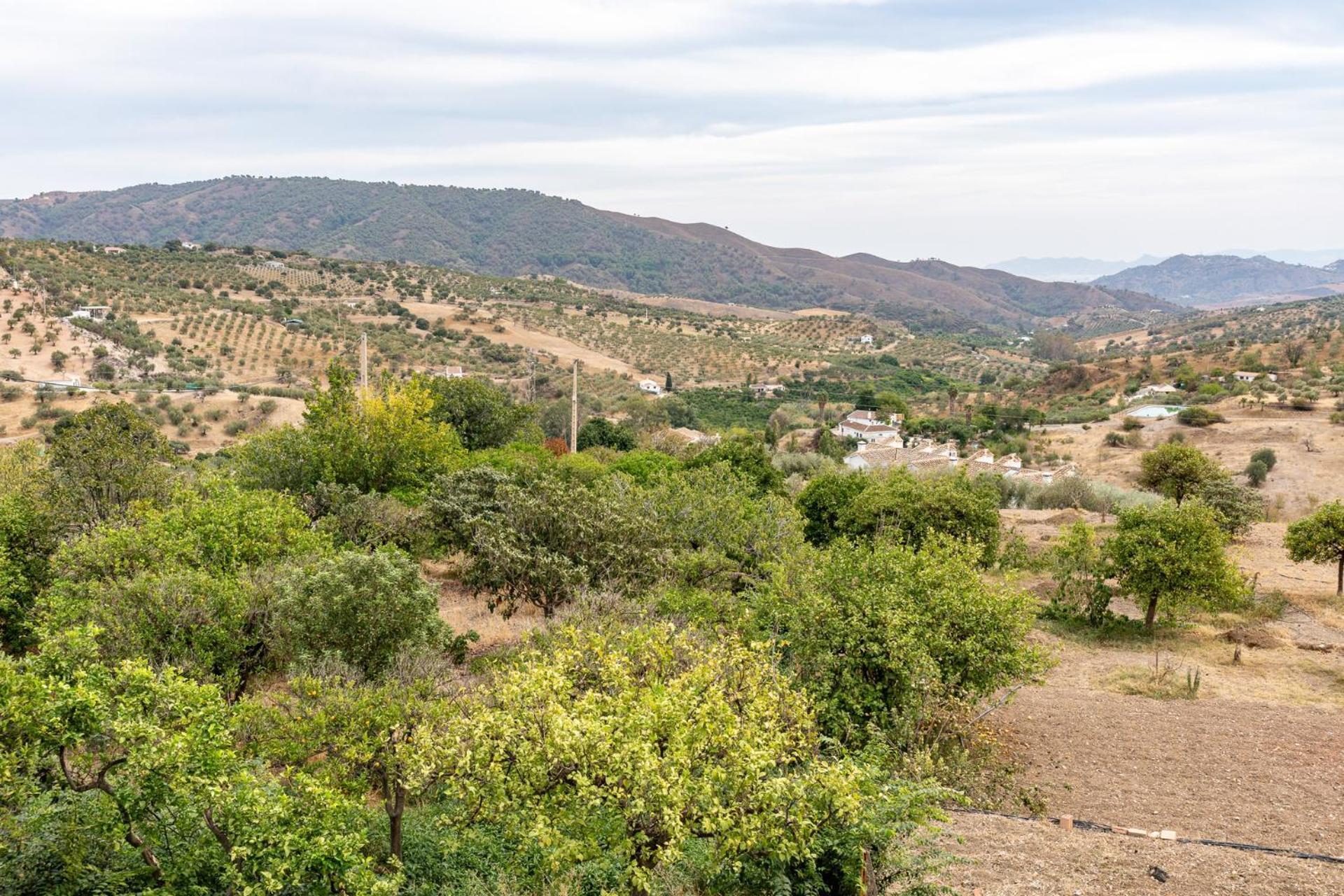 Malagasuite Cortijo Robles Casarabonela Eksteriør billede