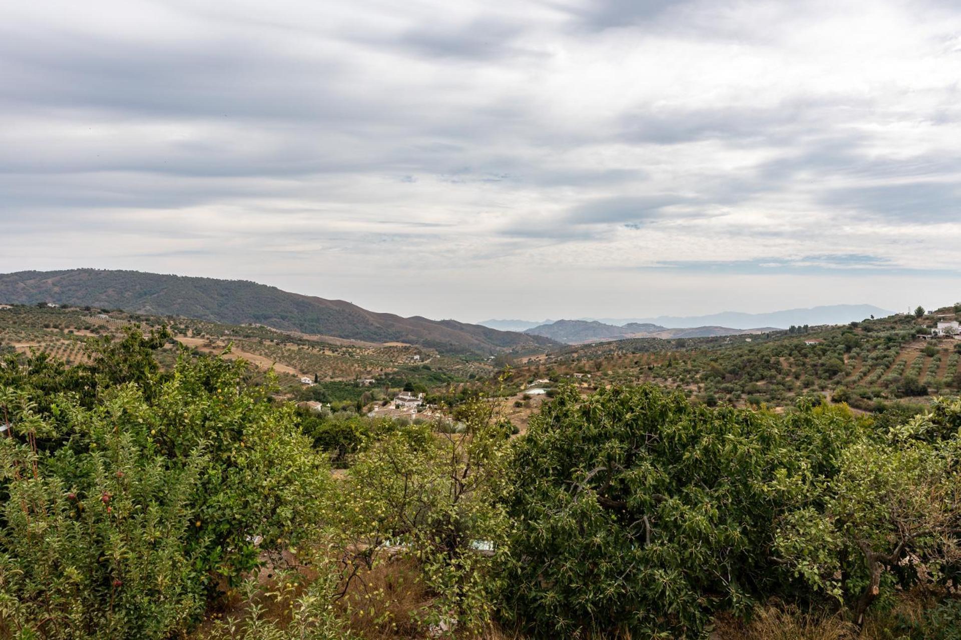 Malagasuite Cortijo Robles Casarabonela Eksteriør billede