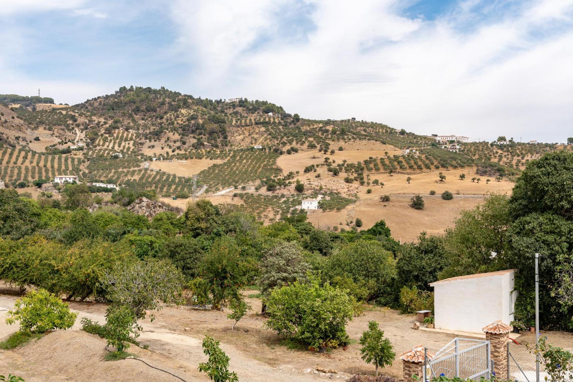 Malagasuite Cortijo Robles Casarabonela Eksteriør billede