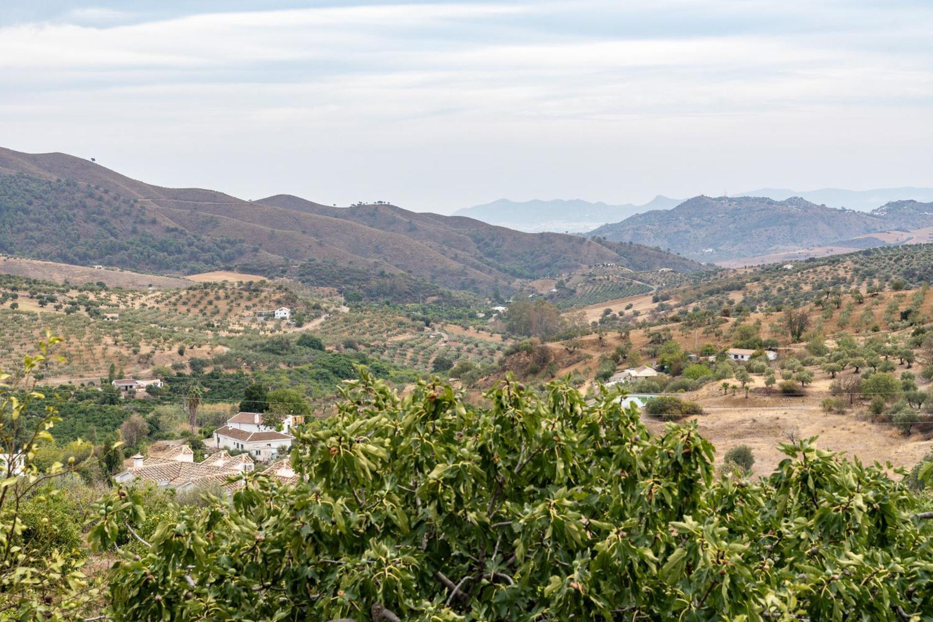 Malagasuite Cortijo Robles Casarabonela Eksteriør billede